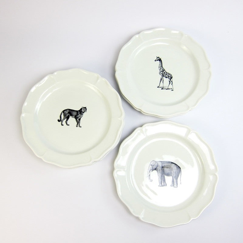 Set 6 platos llanos África