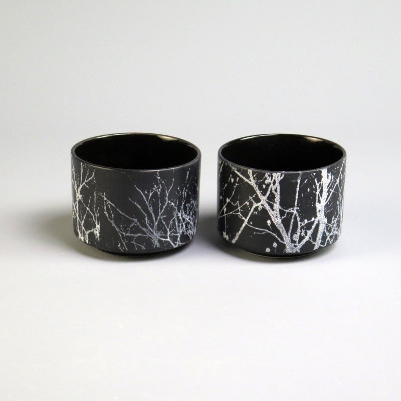 Vaso Organic x2