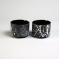 Vaso Organic x2